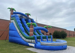 20' Tropical Dual Lane Slide Dry