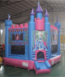 IMG 6547 1778351227 Princess Castle Bounce House (16ft Tall)